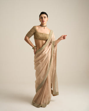 Gold Tissue Saree set