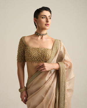 Gold Tissue Saree set