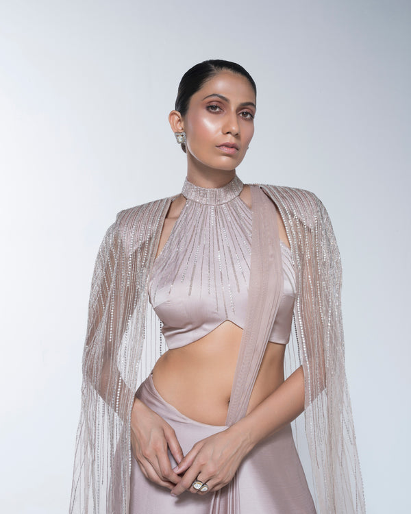 Champagne Metallic Hand Embroidered Saree Set