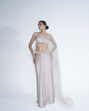 Champagne Saree With Scattered Embroidery Work