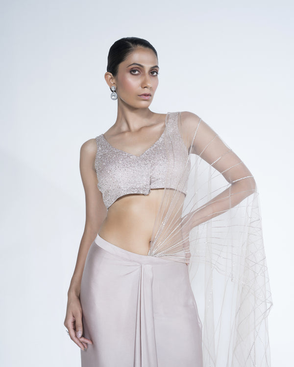 Champagne Saree With Scattered Embroidery Work