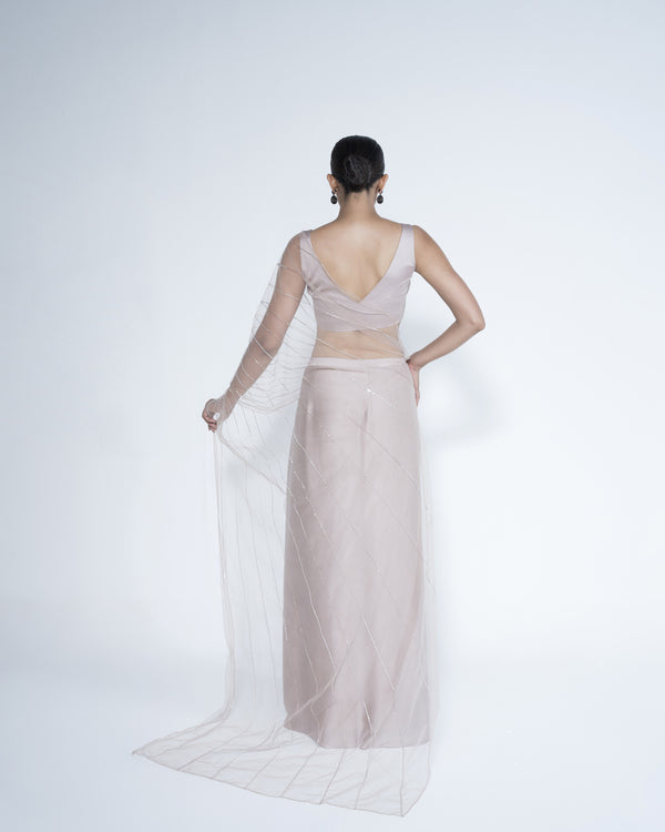 Champagne Saree With Scattered Embroidery Work